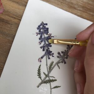 Gluing dried flower onto card