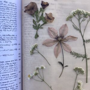 How to Press Fresh Flowers with a Book