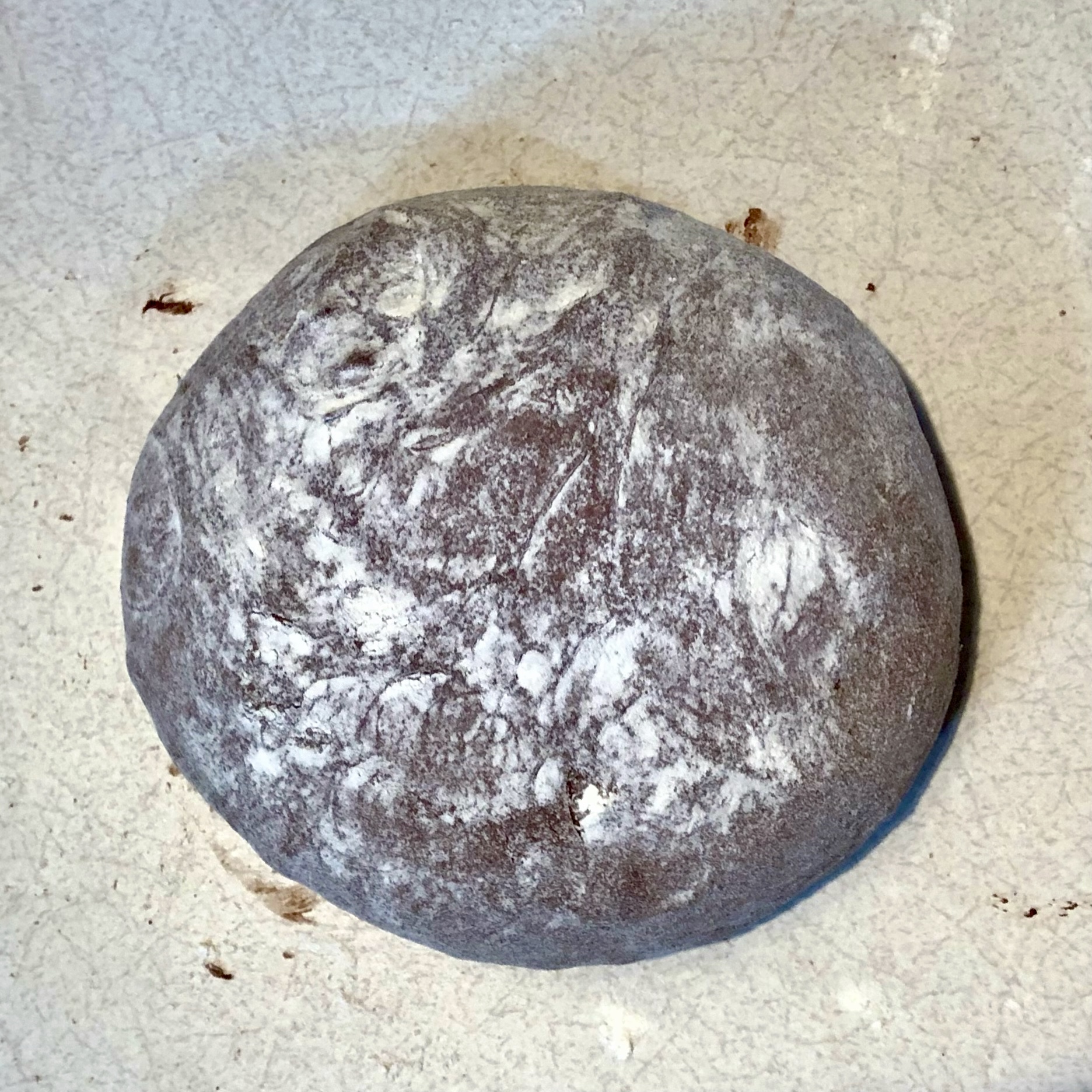 Chocolate Fudge Sourdough Bread Dough