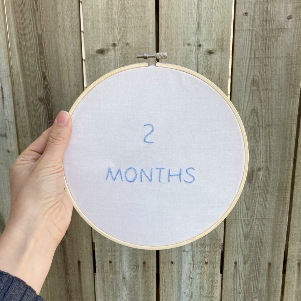 monthly baby milestone hand embroidery pattern month 2